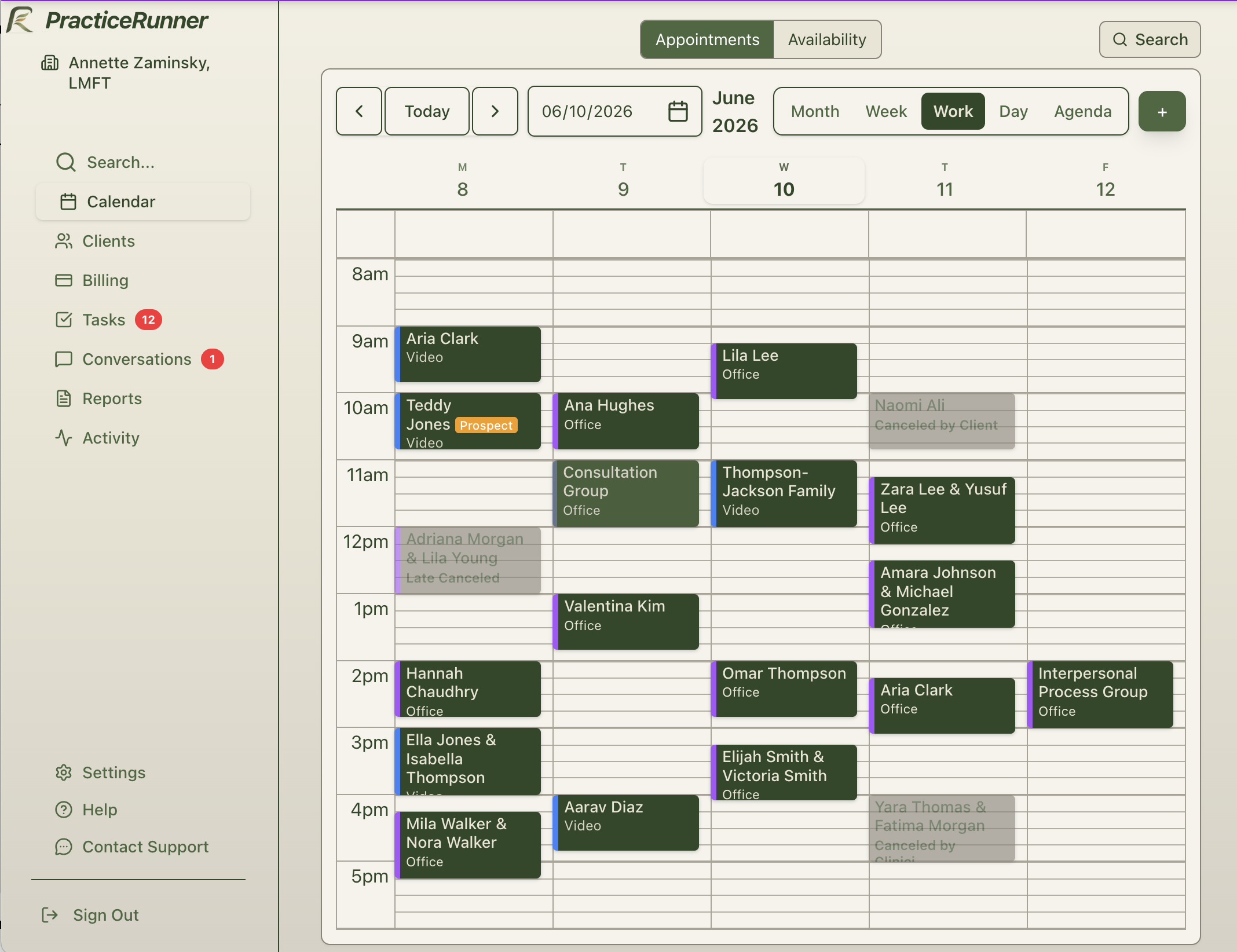 PracticeRunner weekly calendar for a solo therapist with client appointments, a couple case, consultation, and admin time.